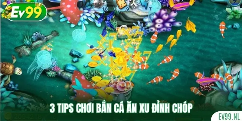 3 tips chơi Bắn Cá Ăn Xu đỉnh chóp 3 tips chơi Bắn Cá Ăn Xu đỉnh chóp