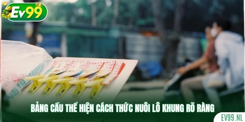 Bảng cầu thể hiện cách thức nuôi lô khung rõ ràng Bảng cầu thể hiện cách thức nuôi lô khung rõ ràng