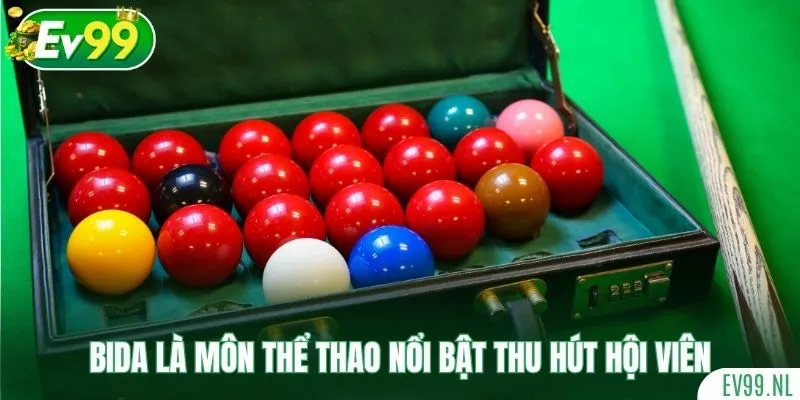 Bida là môn thể thao nổi bật thu hút hội viên Bida là môn thể thao nổi bật thu hút hội viên