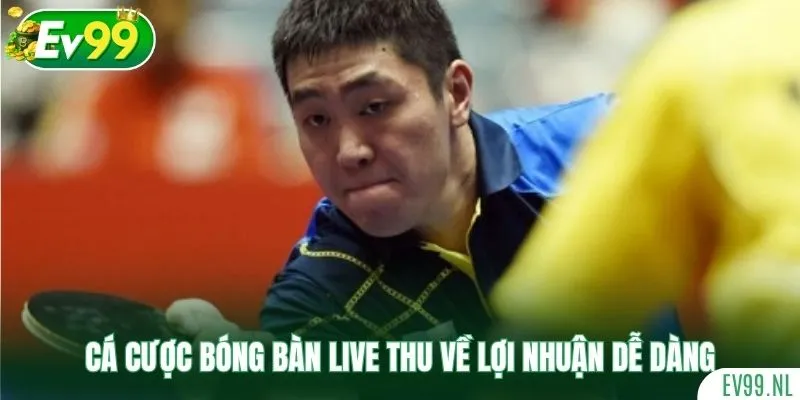 Cá cược bóng bàn live thu về lợi nhuận dễ dàng