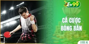 Cá cược bóng bàn