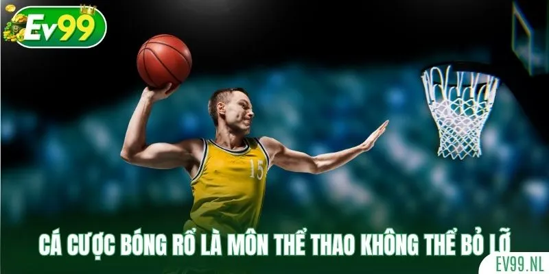 Cá cược bóng rổ là môn thể thao không thể bỏ lỡ