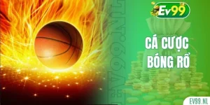 Cá cược bóng rổ