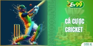Cá cược Cricket