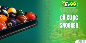 Cá cược Snooker