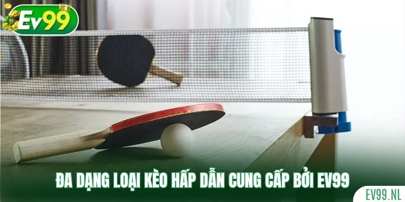 Đa dạng loại kèo hấp dẫn cung cấp bởi EV99