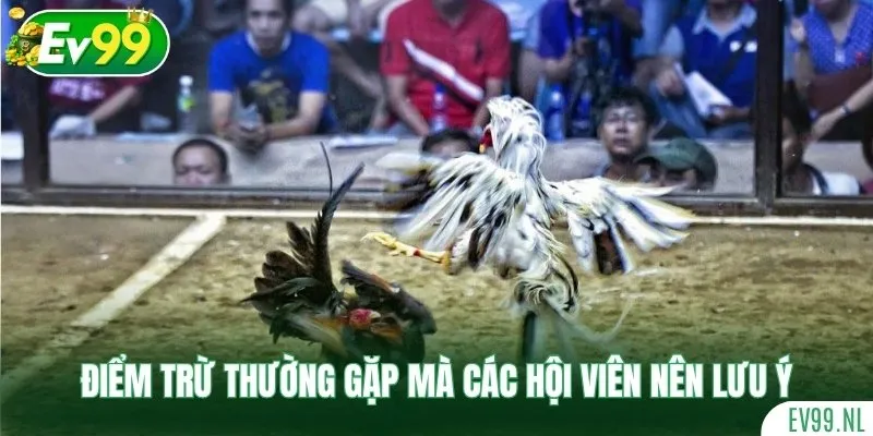 Điểm trừ thường gặp mà các hội viên nên lưu ý