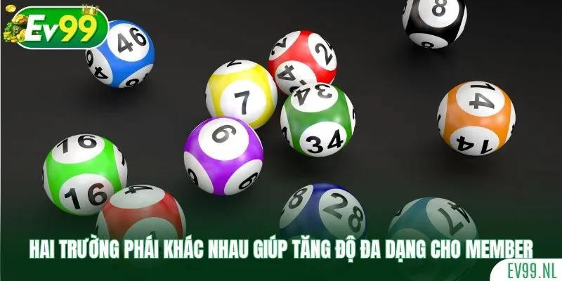 Hai trường phái khác nhau giúp tăng độ đa dạng cho member