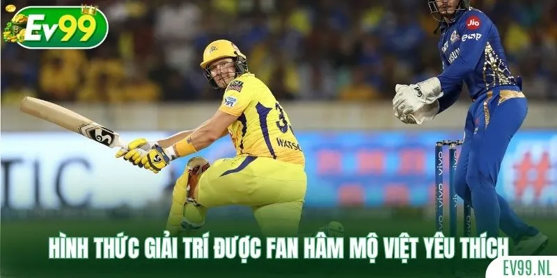 Hình thức giải trí được fan hâm mộ Việt yêu thích Hình thức giải trí được fan hâm mộ Việt yêu thích