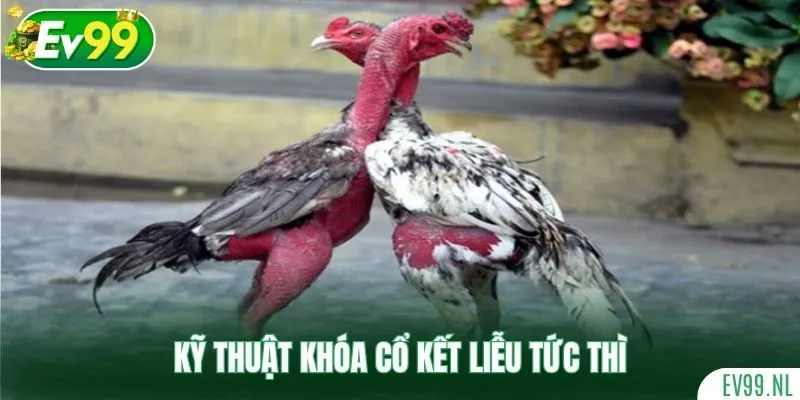 Kỹ thuật khóa cổ kết liễu tức thì Kỹ thuật khóa cổ kết liễu tức thì