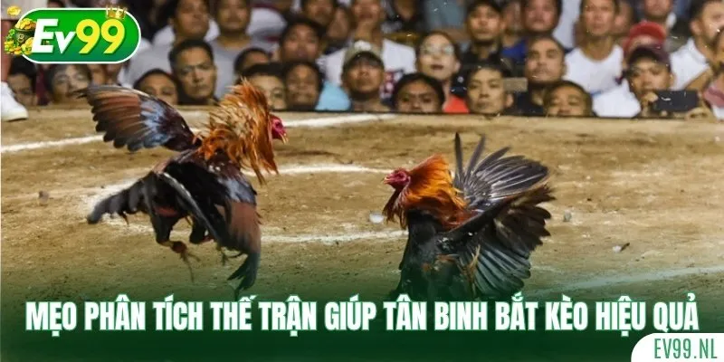 Mẹo phân tích thế trận giúp tân binh bắt kèo hiệu quả