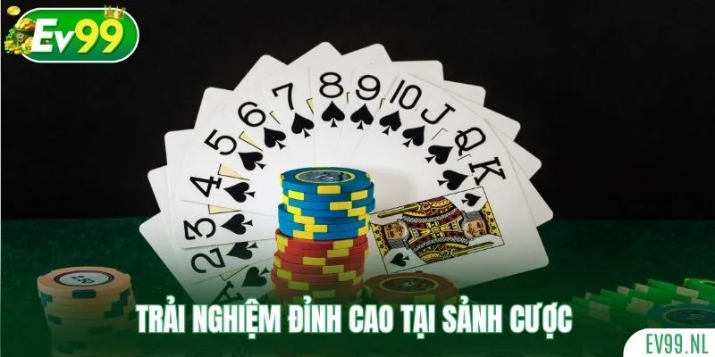 Trải nghiệm đỉnh cao tại sảnh cược game bài V8