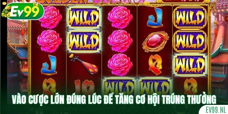 Vào cược lớn đúng lúc để tăng cơ hội trúng thưởng
